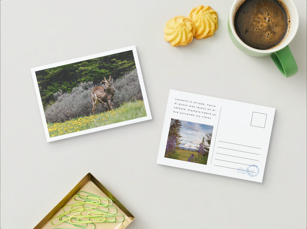 Postal Faunastica (Huemul)