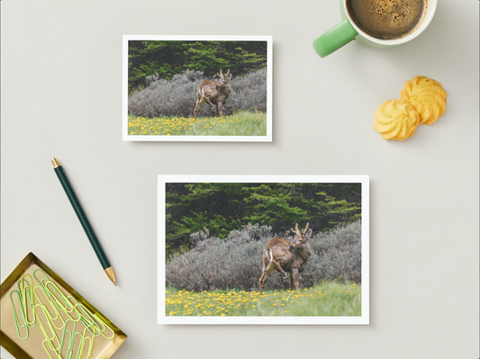 Postal Faunastica (Huemul)
